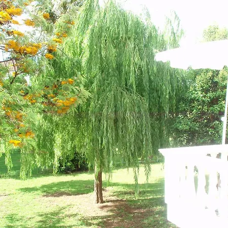 Finikes Kefalonia Számi