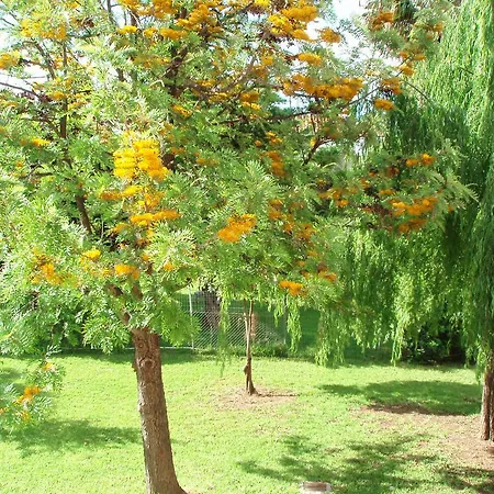 Apartman Finikes Kefalonia Számi