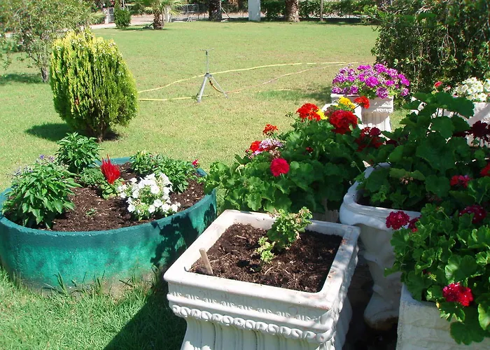 Lejlighed Finikes Kefalonia