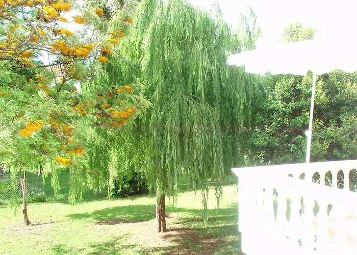 Finikes Kefalonia Sami (Kefalonia)