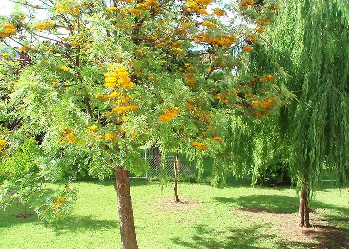 Lejlighed Finikes Kefalonia Sami (Kefalonia)