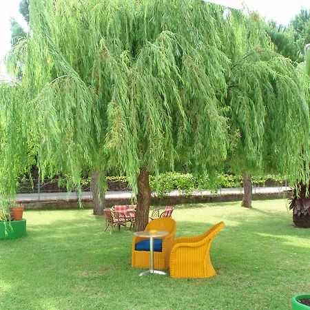 公寓 Finikes Kefalonia *