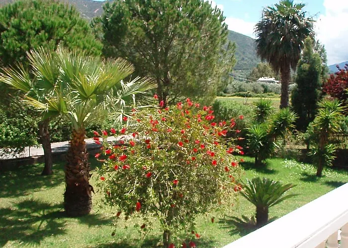 Lejlighed Finikes Kefalonia Sami (Kefalonia)