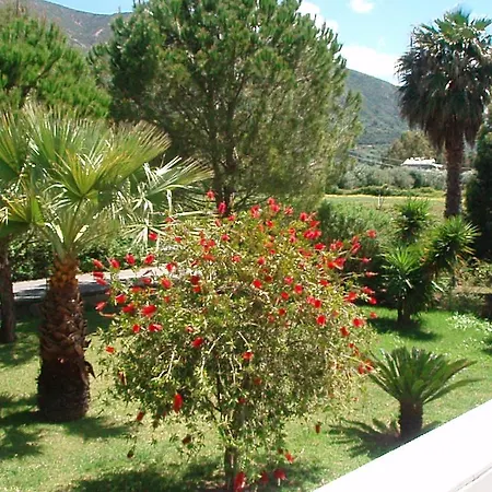 Apartment Finikes Kefalonia Sami (Kefalonia)