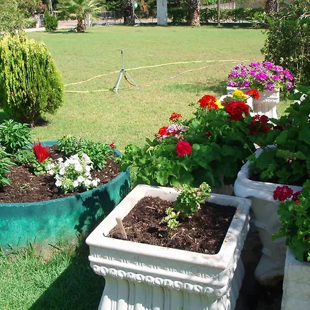 Apartment Finikes Kefalonia