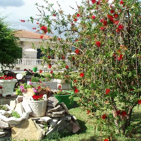 Apartment Finikes Kefalonia