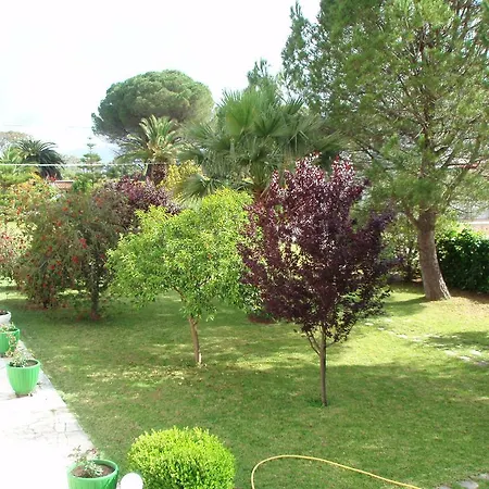 Apartment Finikes Kefalonia