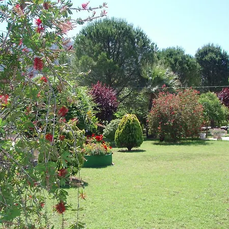 Finikes Kefalonia Sami (Kefalonia)